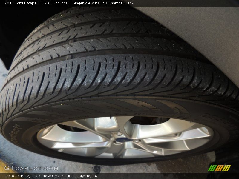Ginger Ale Metallic / Charcoal Black 2013 Ford Escape SEL 2.0L EcoBoost