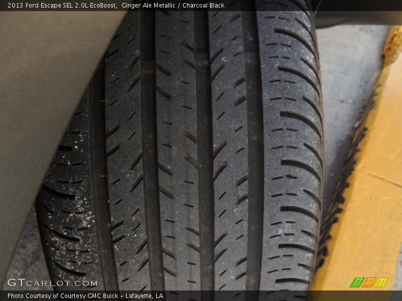 Ginger Ale Metallic / Charcoal Black 2013 Ford Escape SEL 2.0L EcoBoost