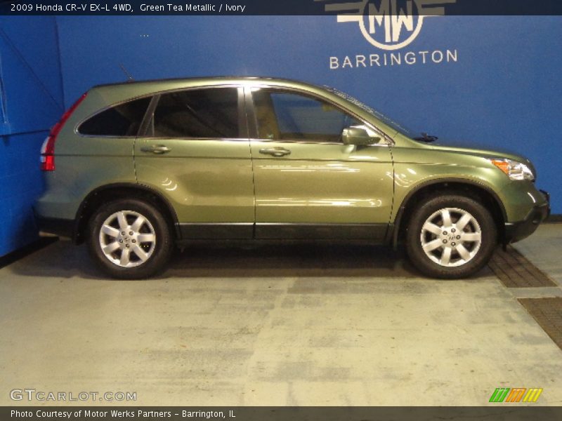 Green Tea Metallic / Ivory 2009 Honda CR-V EX-L 4WD