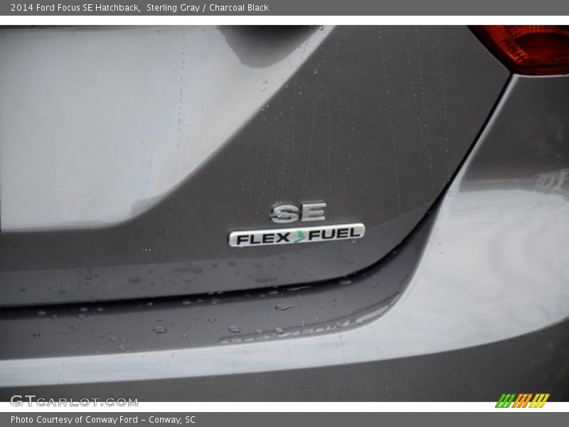 Sterling Gray / Charcoal Black 2014 Ford Focus SE Hatchback