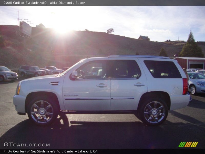 White Diamond / Ebony 2008 Cadillac Escalade AWD