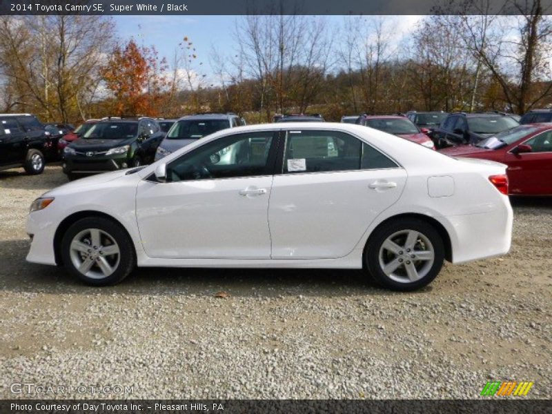 Super White / Black 2014 Toyota Camry SE