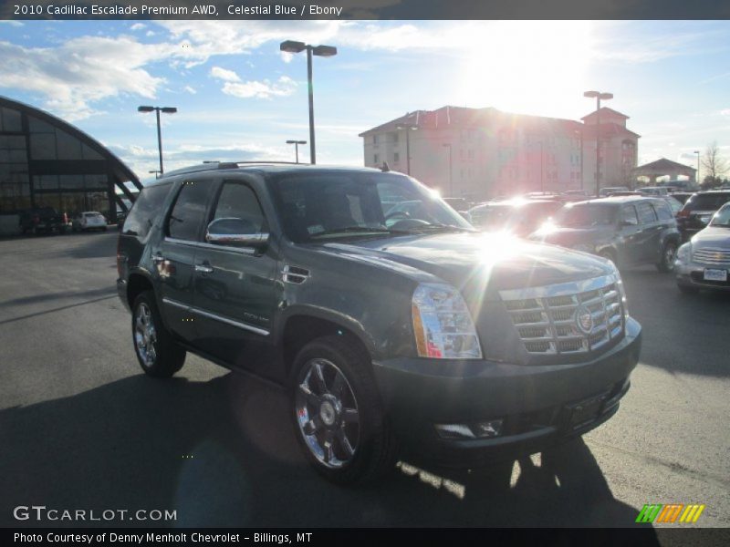 Celestial Blue / Ebony 2010 Cadillac Escalade Premium AWD