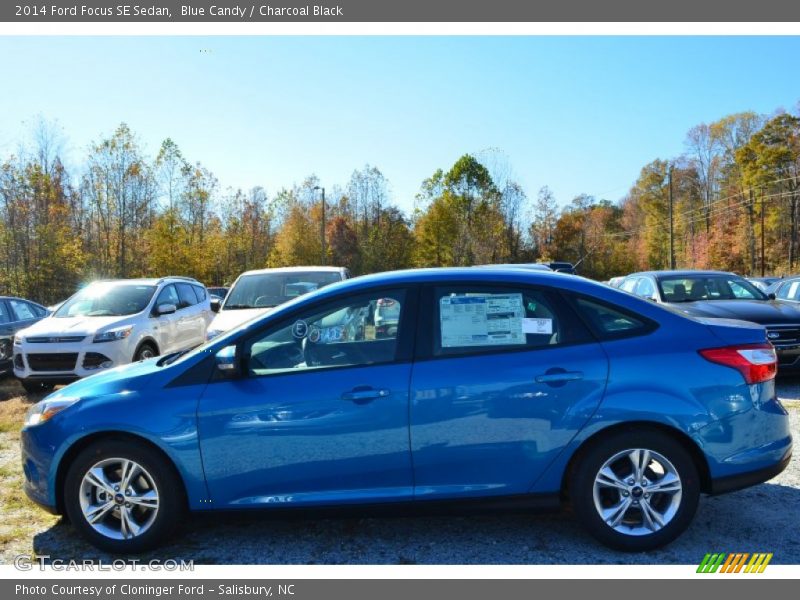 Blue Candy / Charcoal Black 2014 Ford Focus SE Sedan