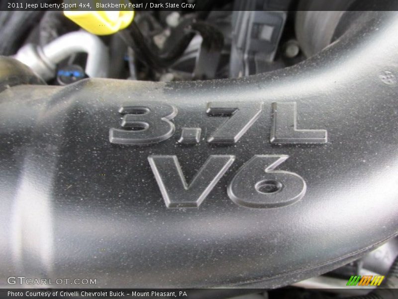 Blackberry Pearl / Dark Slate Gray 2011 Jeep Liberty Sport 4x4