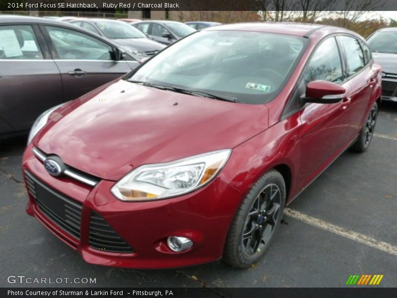 Ruby Red / Charcoal Black 2014 Ford Focus SE Hatchback