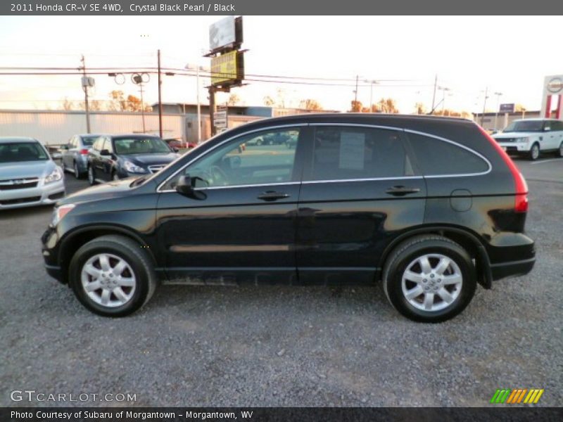 Crystal Black Pearl / Black 2011 Honda CR-V SE 4WD