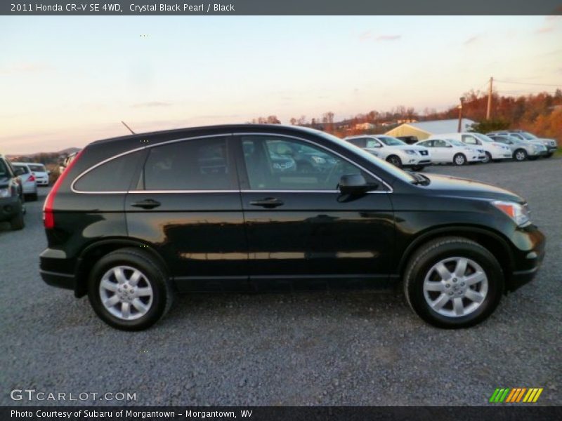 Crystal Black Pearl / Black 2011 Honda CR-V SE 4WD