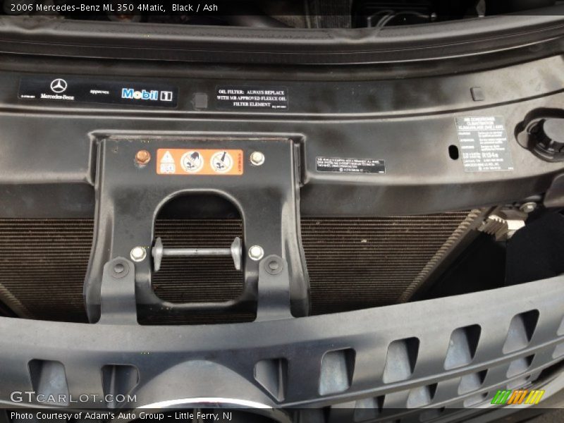 Black / Ash 2006 Mercedes-Benz ML 350 4Matic