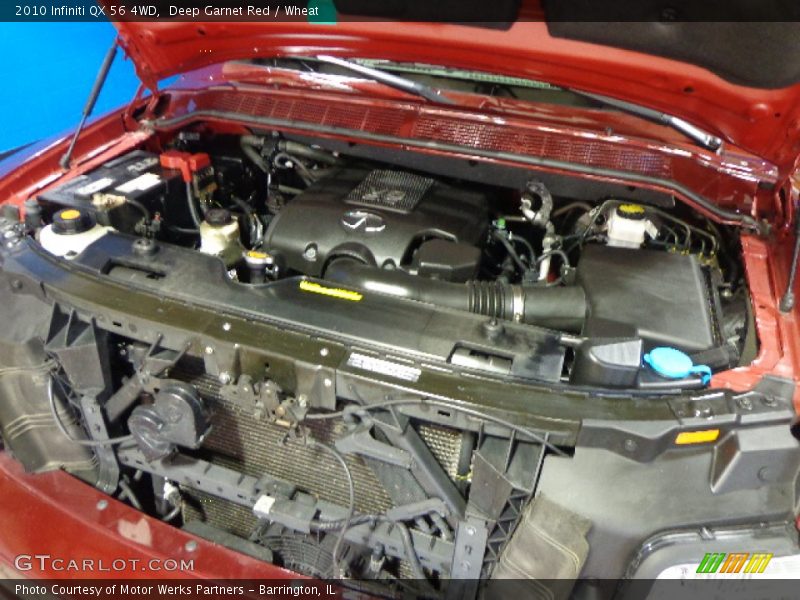 Deep Garnet Red / Wheat 2010 Infiniti QX 56 4WD