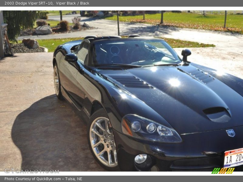 Viper Black / Black 2003 Dodge Viper SRT-10