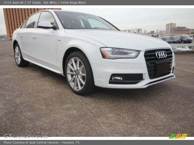 Ibis White / Velvet Beige/Black 2014 Audi A4 2.0T Sedan