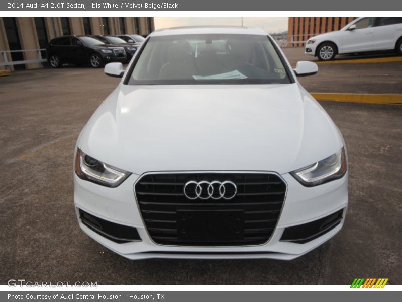Ibis White / Velvet Beige/Black 2014 Audi A4 2.0T Sedan