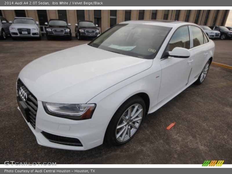 Ibis White / Velvet Beige/Black 2014 Audi A4 2.0T Sedan