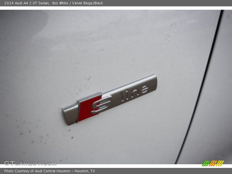 Ibis White / Velvet Beige/Black 2014 Audi A4 2.0T Sedan