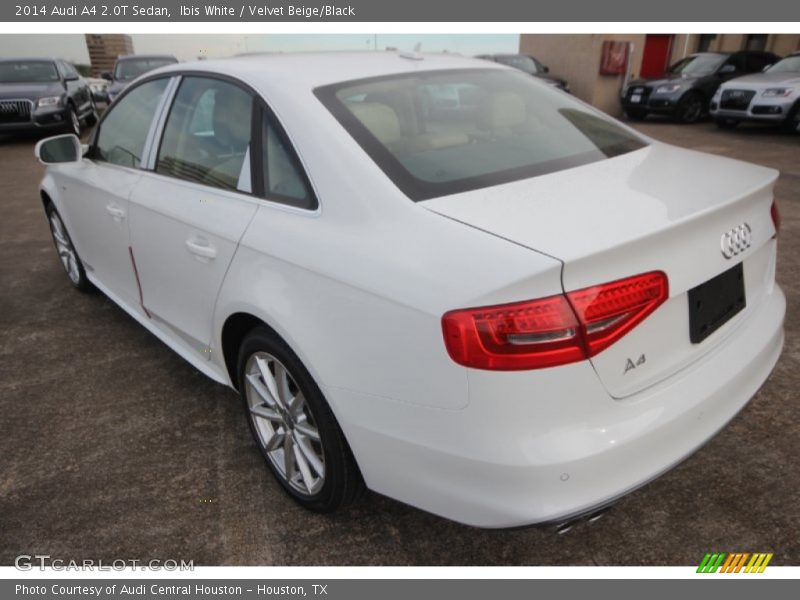 Ibis White / Velvet Beige/Black 2014 Audi A4 2.0T Sedan