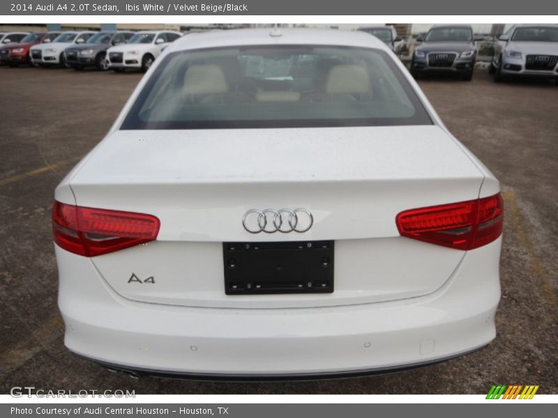 Ibis White / Velvet Beige/Black 2014 Audi A4 2.0T Sedan