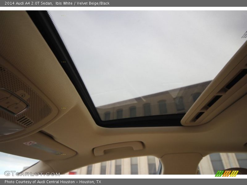 Ibis White / Velvet Beige/Black 2014 Audi A4 2.0T Sedan