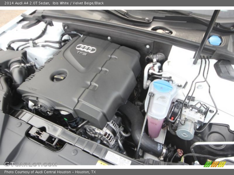 Ibis White / Velvet Beige/Black 2014 Audi A4 2.0T Sedan