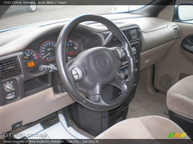 Arctic White / Taupe 2002 Pontiac Montana
