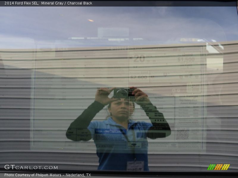 Mineral Gray / Charcoal Black 2014 Ford Flex SEL
