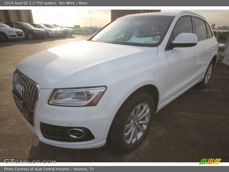 Ibis White / Black 2014 Audi Q5 2.0 TFSI quattro