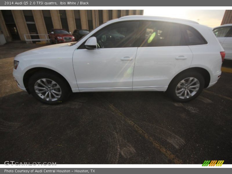 Ibis White / Black 2014 Audi Q5 2.0 TFSI quattro