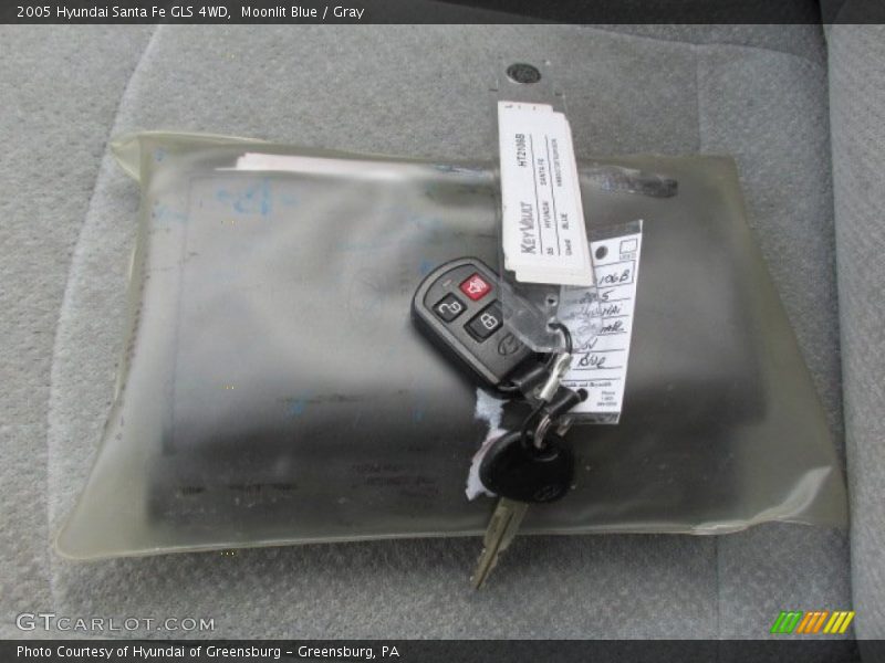 Moonlit Blue / Gray 2005 Hyundai Santa Fe GLS 4WD