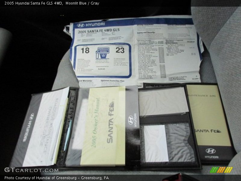 Moonlit Blue / Gray 2005 Hyundai Santa Fe GLS 4WD