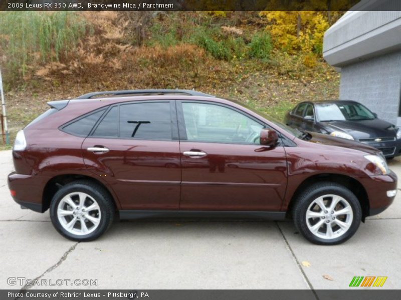 Brandywine Mica / Parchment 2009 Lexus RX 350 AWD