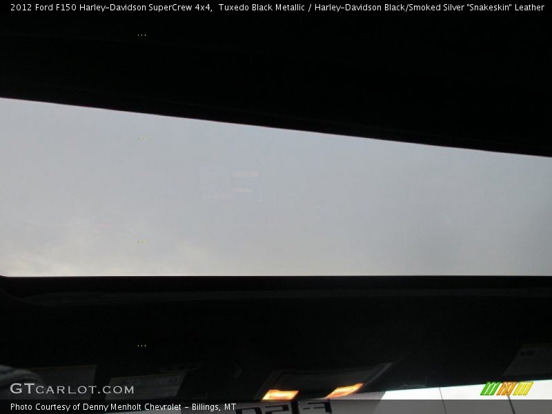 Tuxedo Black Metallic / Harley-Davidson Black/Smoked Silver 