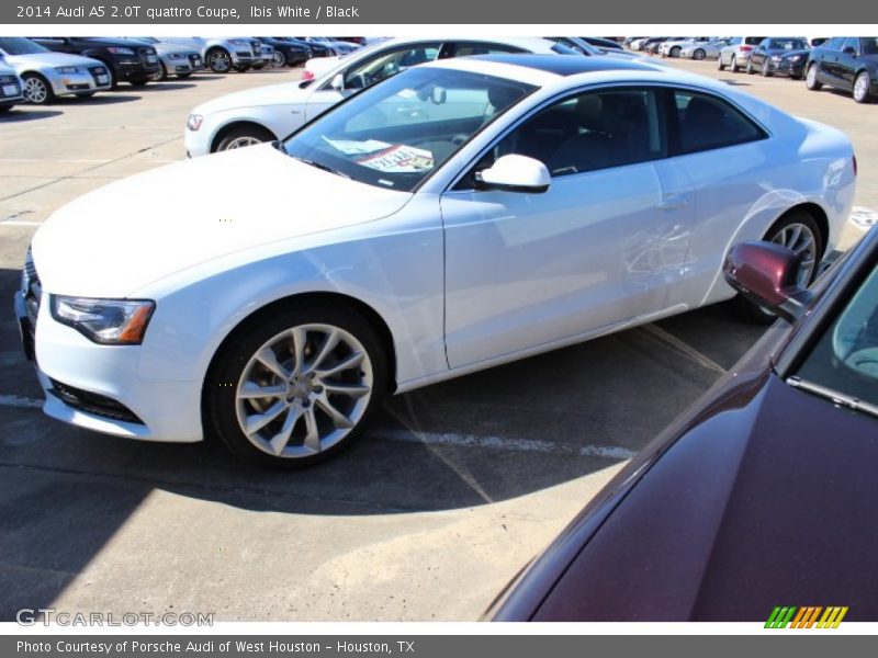 Ibis White / Black 2014 Audi A5 2.0T quattro Coupe