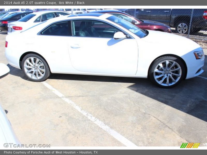 Ibis White / Black 2014 Audi A5 2.0T quattro Coupe