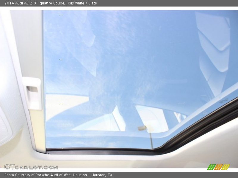 Ibis White / Black 2014 Audi A5 2.0T quattro Coupe