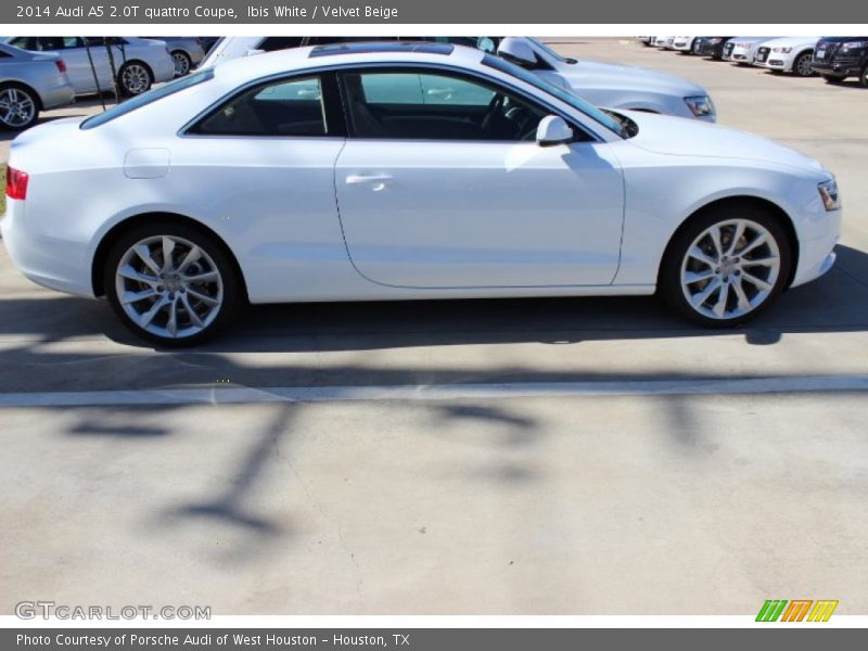 Ibis White / Velvet Beige 2014 Audi A5 2.0T quattro Coupe