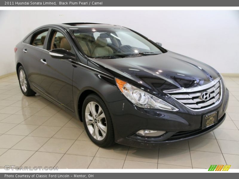 Black Plum Pearl / Camel 2011 Hyundai Sonata Limited