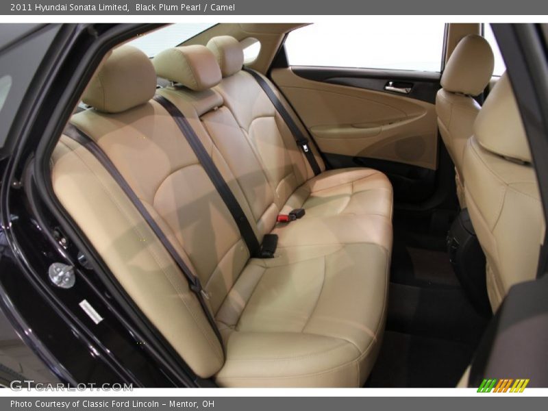 Black Plum Pearl / Camel 2011 Hyundai Sonata Limited