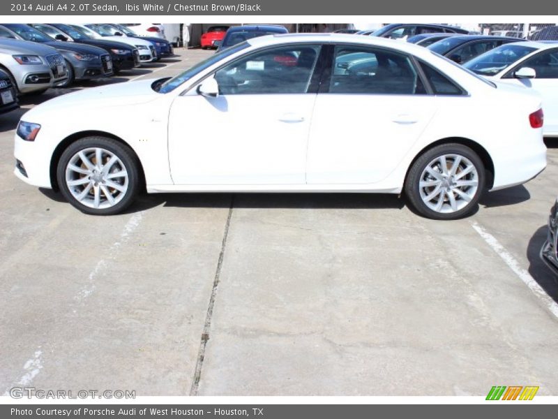 Ibis White / Chestnut Brown/Black 2014 Audi A4 2.0T Sedan