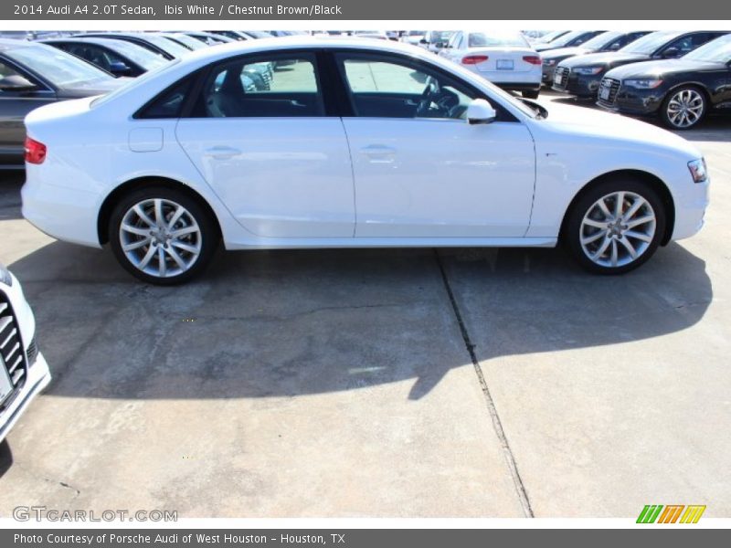 Ibis White / Chestnut Brown/Black 2014 Audi A4 2.0T Sedan