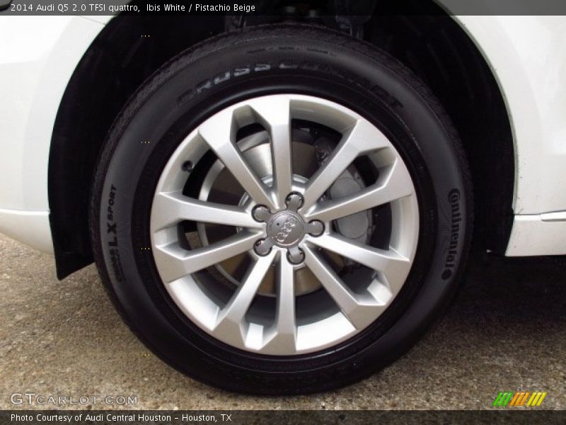 Ibis White / Pistachio Beige 2014 Audi Q5 2.0 TFSI quattro
