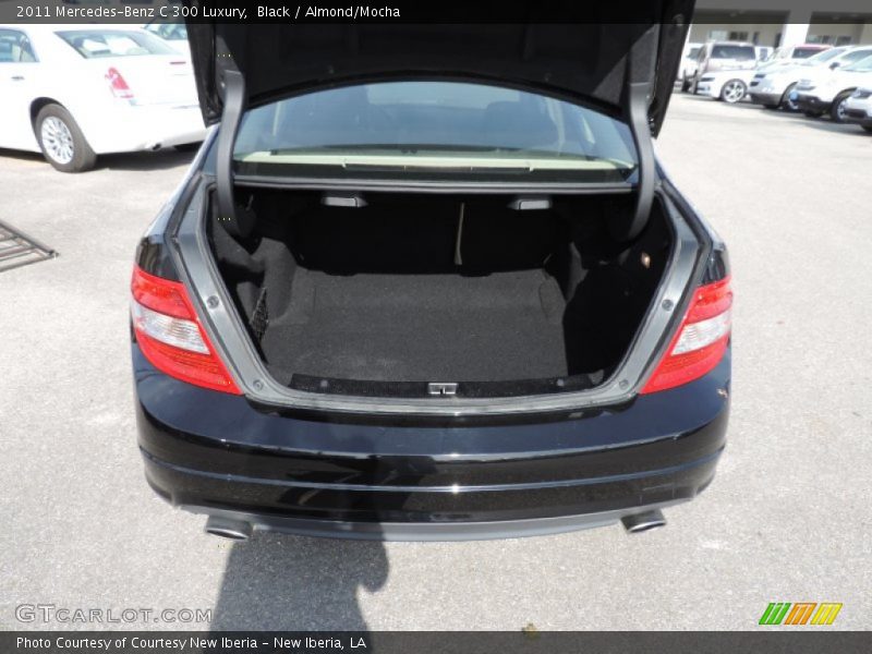 Black / Almond/Mocha 2011 Mercedes-Benz C 300 Luxury