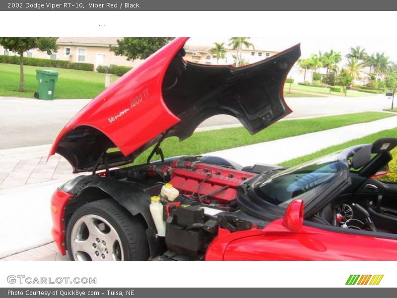 Viper Red / Black 2002 Dodge Viper RT-10