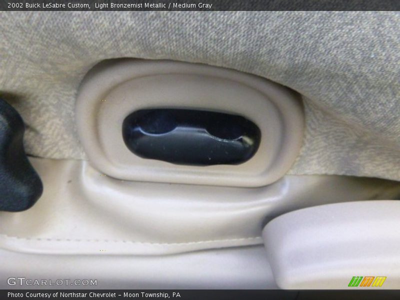 Light Bronzemist Metallic / Medium Gray 2002 Buick LeSabre Custom
