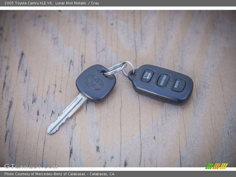Lunar Mist Metallic / Gray 2005 Toyota Camry XLE V6