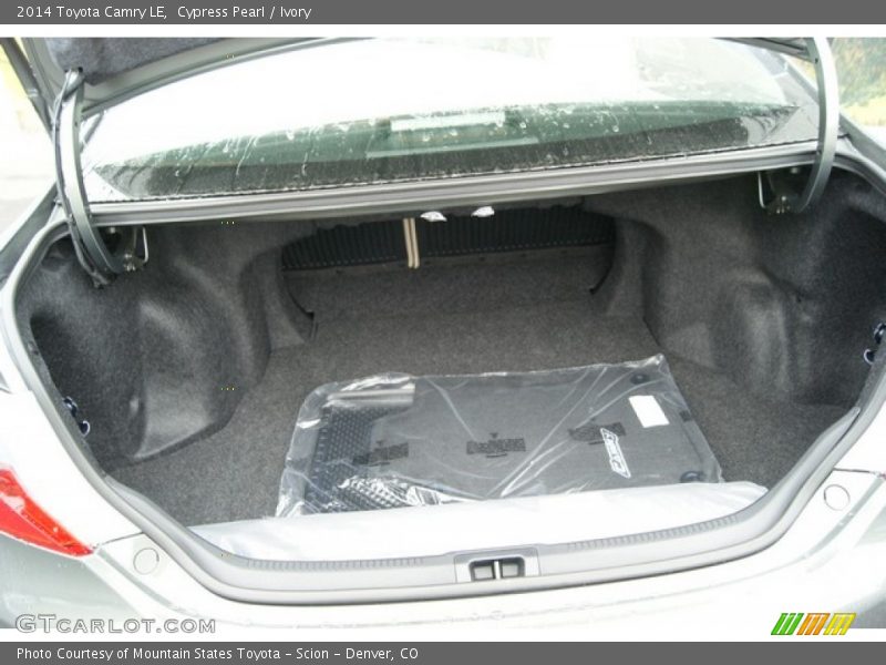 Cypress Pearl / Ivory 2014 Toyota Camry LE