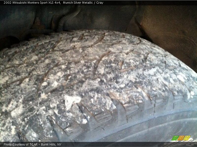 Munich Silver Metallic / Gray 2002 Mitsubishi Montero Sport XLS 4x4