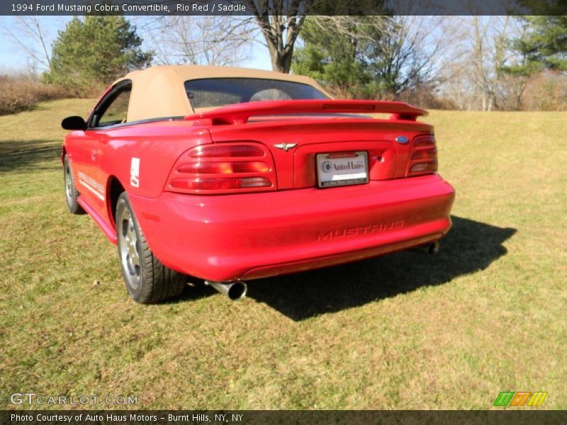 Rio Red / Saddle 1994 Ford Mustang Cobra Convertible