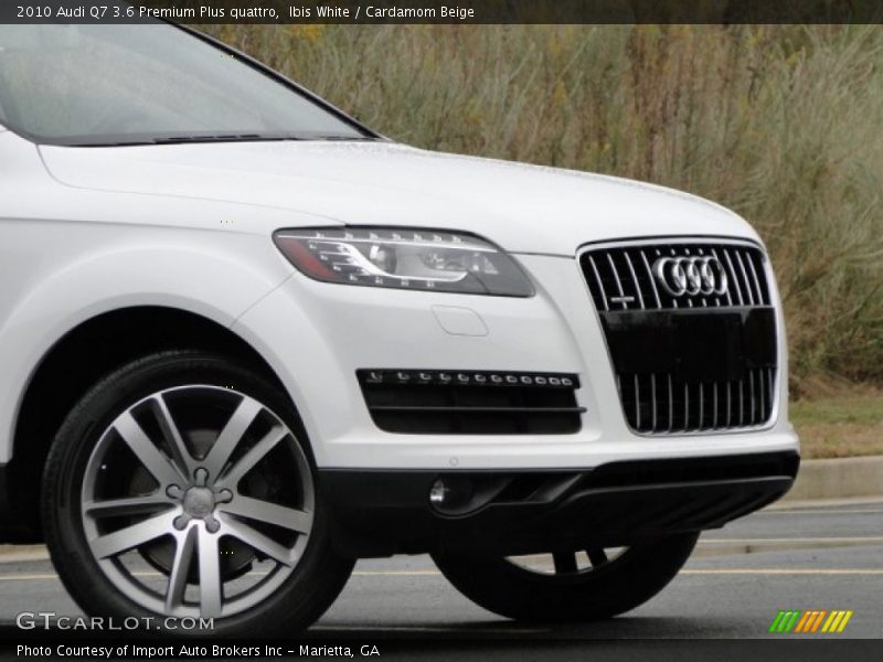 Ibis White / Cardamom Beige 2010 Audi Q7 3.6 Premium Plus quattro