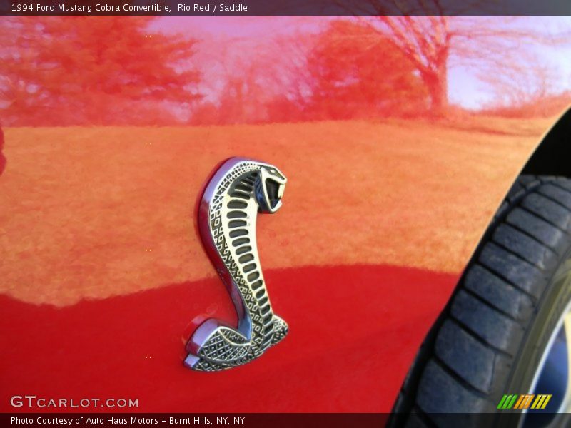  1994 Mustang Cobra Convertible Logo