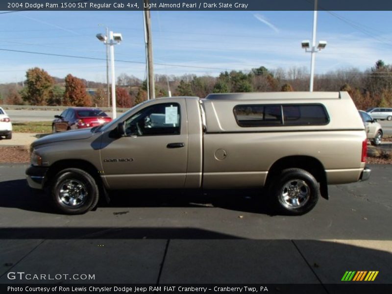 Light Almond Pearl / Dark Slate Gray 2004 Dodge Ram 1500 SLT Regular Cab 4x4